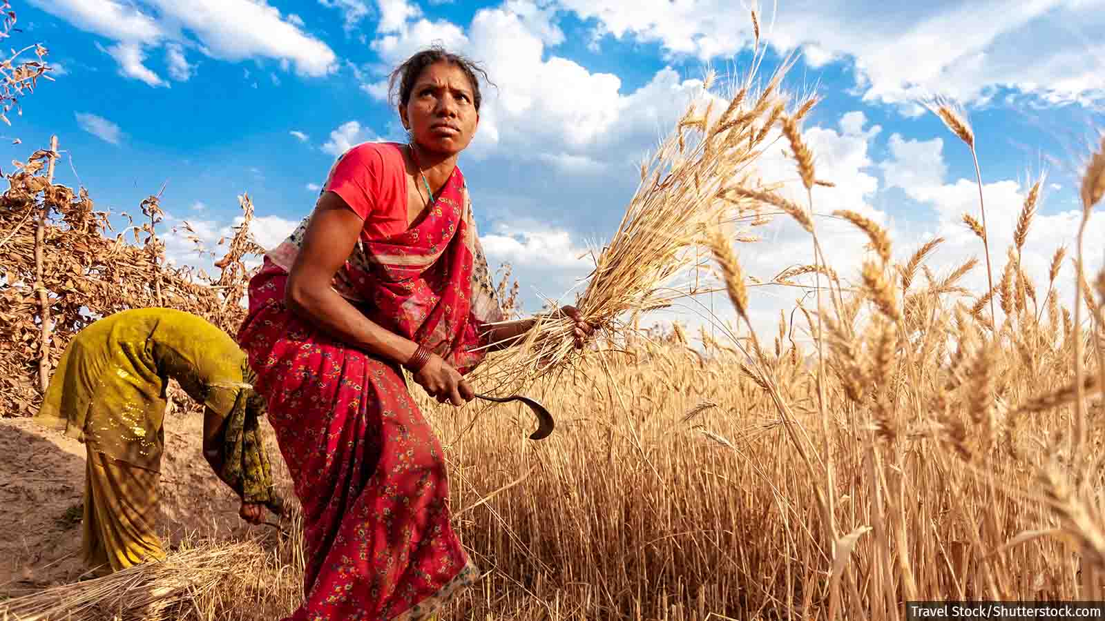 Why Women Farmers Are Losing Jobs, Earnings, Savings Even As Agriculture  'Booms