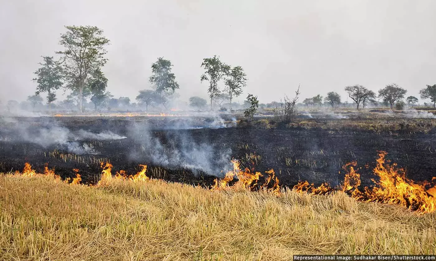 Alternatives to Crop-burning in Indian Agriculture