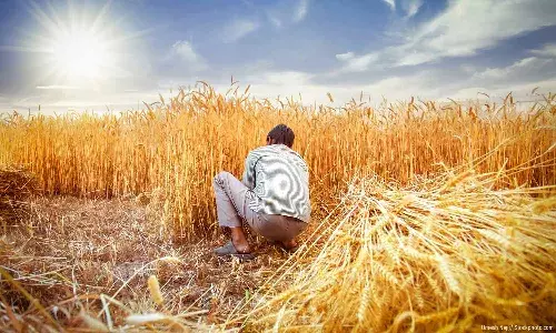 How Can India Future-Proof Wheat?