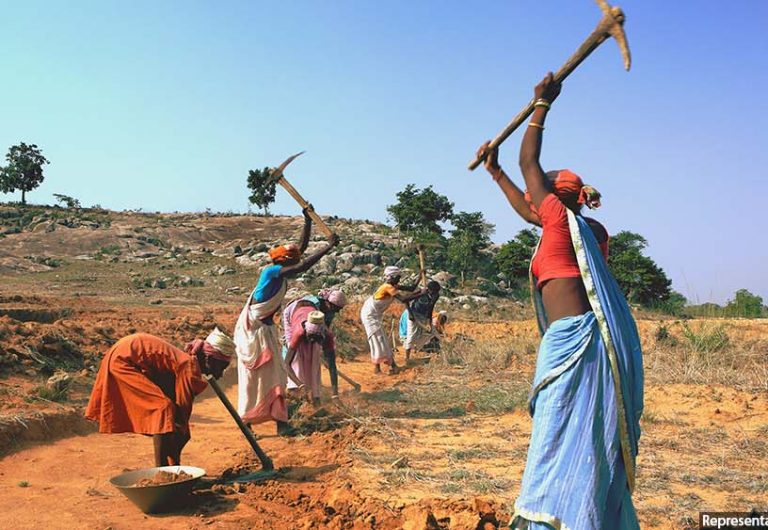 In Jharkhand, Forest Rights Could Decide Votes In 77% Assembly Seats